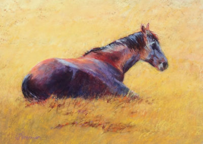 Afternoon Nap pastel painting