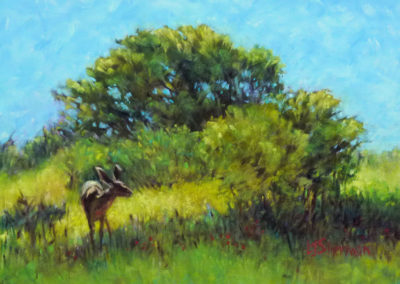 Deer Haven pastel painting