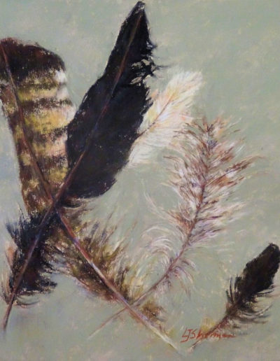 Feathers pastel painting