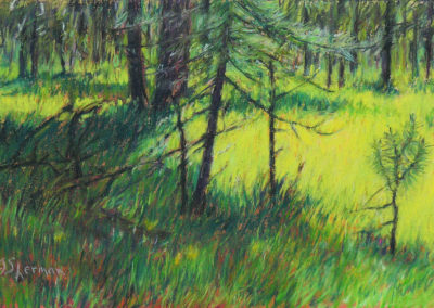 Forest Sunshine pastel painting