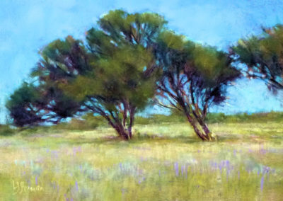 Mountain Mahogany pastel painting