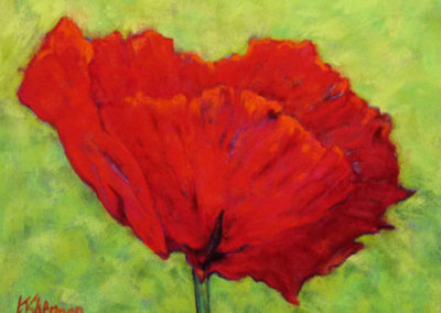 Red Poppy pastel painting