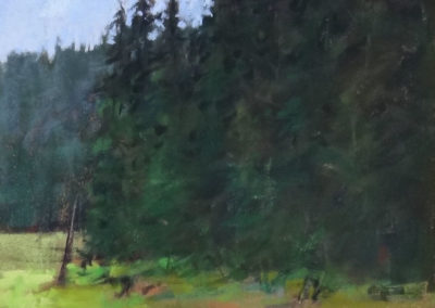 Sparks Lake Meadow pastel painting